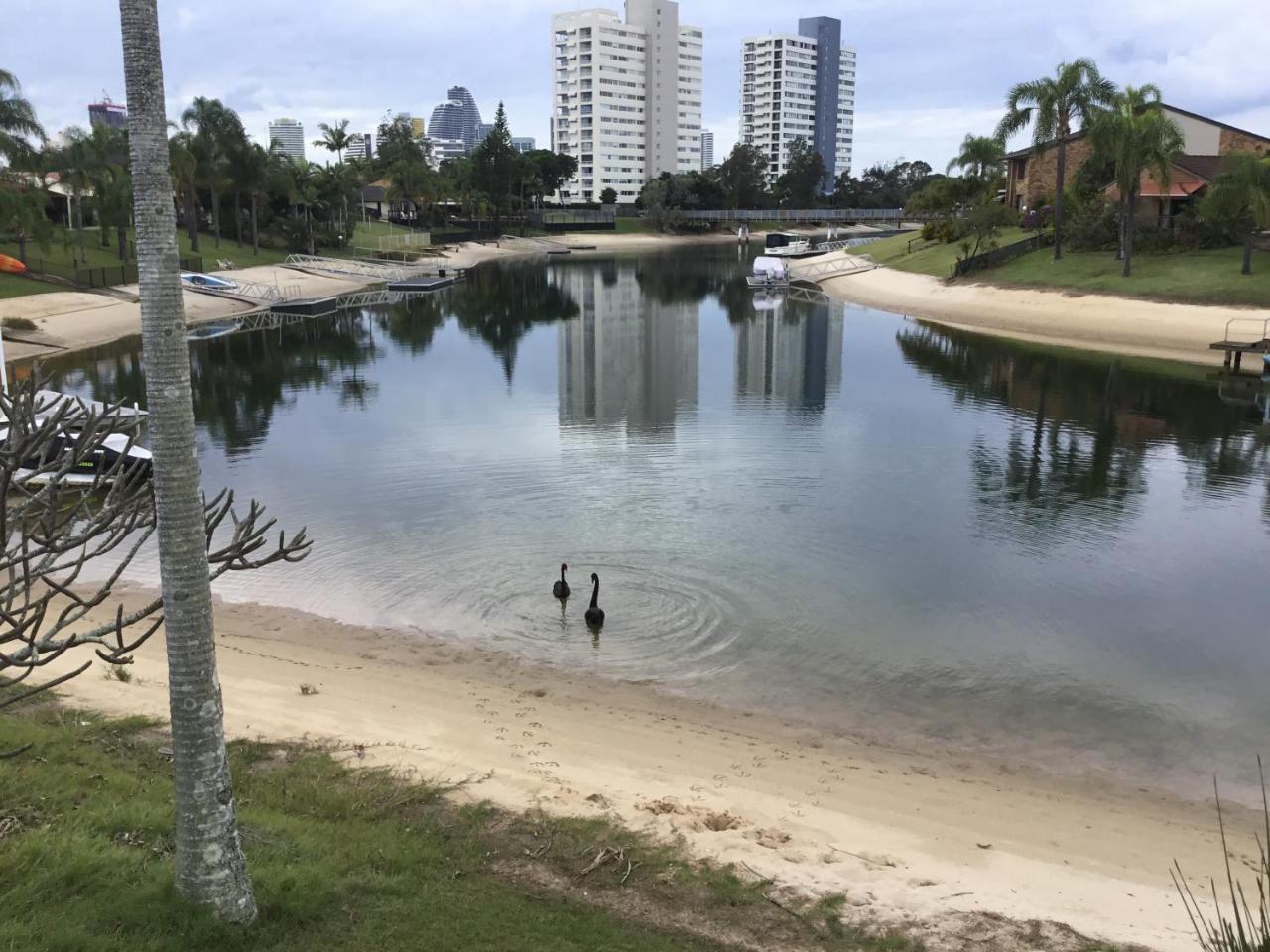 ホテルPlumosa On The Water ゴールドコースト エクステリア 写真